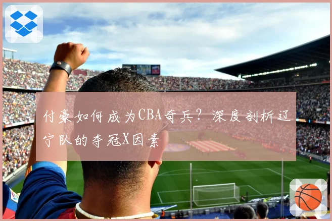 付豪如何成为CBA奇兵?深度剖析辽宁队的夺冠X因素