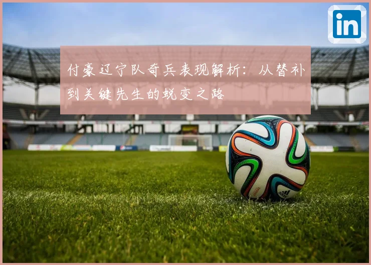 付豪辽宁队奇兵表现解析：从替补到关键先生的蜕变之路