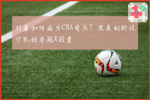 付豪如何成为CBA奇兵？深度剖析辽宁队的夺冠X因素